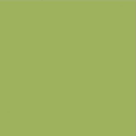 DecoArt Americana Pittura Acrilica Hauser Light Green, Verde Chiaro DecoArt - Americana - 1