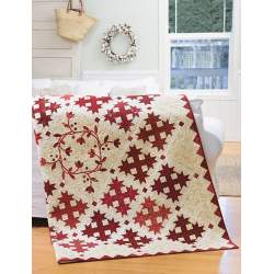 Red & White Quilts: 14 Quilts With Timeless Appeal from Today's Top Designers - Martingale Martingale & Co Inc - 4