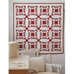 Red & White Quilts: 14 Quilts With Timeless Appeal from Today's Top Designers - Martingale Martingale & Co Inc - 12