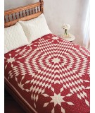 Red & White Quilts: 14 Quilts With Timeless Appeal from Today's Top Designers - Martingale Martingale - 14