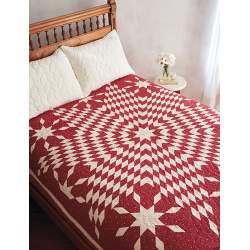 Red & White Quilts: 14 Quilts With Timeless Appeal from Today's Top Designers Martingale & Co Inc - 14