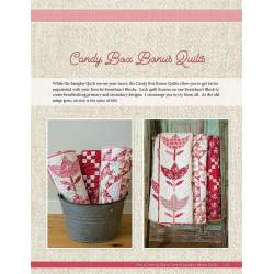 Sew In Love, Edyta Sitar - Make a Love Connection with the Art of Quilting Laundry Basket Quilts - 8