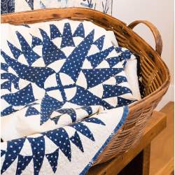 Patches Of Blue, Edyta Sitar - 17 Quilts Patterns & a Gallery of Inspiring Antique Quilts Laundry Basket Quilts - 3