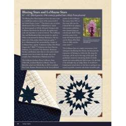 Indigo Quilts, 30 Quilts from the Poos Collection - History of Indigo, Kay & Lori Lee Triplett Search Press - 7