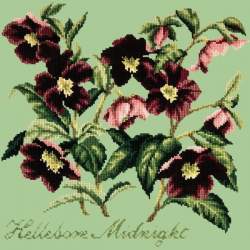 Elizabeth Bradley, Shade Garden, HELLEBORE MIDNIGHT - 16x16 pollici Elizabeth Bradley - 10