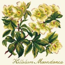 Elizabeth Bradley, Shade Garden, HELLEBORE MOONDANCE - 16x16 pollici Elizabeth Bradley - 2