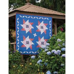 Pat Sloan's Holiday Celebrations, 17 Quilts and More for 6 Seasonal Occasions - by Pat Sloan Martingale - 9