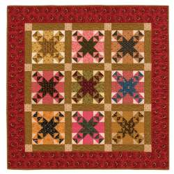 A Country's Call - Civil War Quilts and Stories of Unsung Heroines, by Mary Etherington & Connie Tesene - Martingale Martingale 