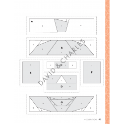 100 Paper Pieced Quilt Blocks, Fun foundation pieced blocks for happy sewing by Sarah Callard David & Charles - 10