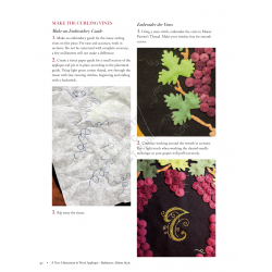 A New Dimension in Wool Appliqué - Baltimore Album Style by Deborah Gale Tirico C&T Publishing - 7