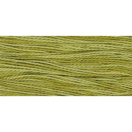 Weeks Dye Works, Filato da ricamo Pearl Cotton Titolo 5, Guacamole Weeks Dye Works - 1