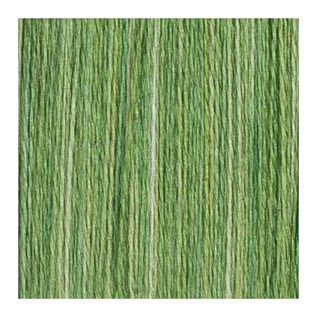 House of Embroidery, Filo di seta da ricamo RAW SILK THREAD- LEMON&LIME S25 House of Embroidery - 1