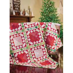 Two-of-a-Kind Quilts - 12 Scrappy Designs That Are Double the Fun by Lissa Alexander, Susan Ache Martingale - 12