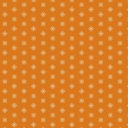 EQP Beyond Time Hopscotch Apricot EQP Textiles - 2