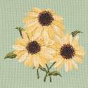 Elizabeth Bradley, Blooms, ECHINACEAS - 16x16 pollici Elizabeth Bradley - 1