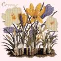 Elizabeth Bradley, Botanical Garden, CROCUS - 16x16 pollici Elizabeth Bradley - 1