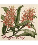 Elizabeth Bradley, Exotics, GINGER LILY - 16x16 pollici Elizabeth Bradley - 1