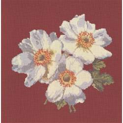 Elizabeth Bradley, Blooms, ANEMONES - 16x16 pollici Elizabeth Bradley - 5