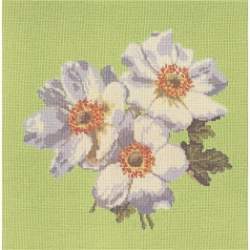 Elizabeth Bradley, Blooms, ANEMONES - 16x16 pollici Elizabeth Bradley - 8