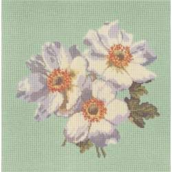 Elizabeth Bradley, Blooms, ANEMONES - 16x16 pollici Elizabeth Bradley - 9