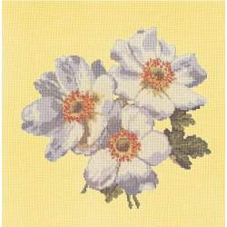 Elizabeth Bradley, Blooms, ANEMONES - 16x16 pollici Elizabeth Bradley - 10