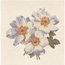 Elizabeth Bradley, Blooms, ANEMONES - 16x16 pollici Elizabeth Bradley - 12