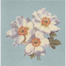 Elizabeth Bradley, Blooms, ANEMONES - 16x16 pollici Elizabeth Bradley - 14