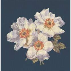 Elizabeth Bradley, Blooms, ANEMONES - 16x16 pollici Elizabeth Bradley - 16