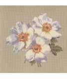 Elizabeth Bradley, Blooms, ANEMONES - 16x16 pollici Elizabeth Bradley - 17