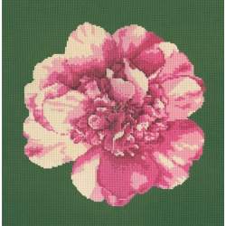 Elizabeth Bradley, Blooms, CAMELLIA BLOSSOM - 16x16 pollici Elizabeth Bradley - 6