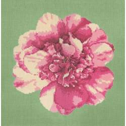 Elizabeth Bradley, Blooms, CAMELLIA BLOSSOM - 16x16 pollici Elizabeth Bradley - 7