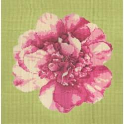 Elizabeth Bradley, Blooms, CAMELLIA BLOSSOM - 16x16 pollici Elizabeth Bradley - 9