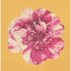 Elizabeth Bradley, Blooms, CAMELLIA BLOSSOM - 16x16 pollici Elizabeth Bradley - 11