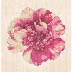 Elizabeth Bradley, Blooms, CAMELLIA BLOSSOM - 16x16 pollici Elizabeth Bradley - 12