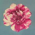 Elizabeth Bradley, Blooms, CAMELLIA BLOSSOM - 16x16 pollici Elizabeth Bradley - 15