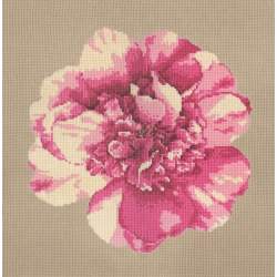 Elizabeth Bradley, Blooms, CAMELLIA BLOSSOM - 16x16 pollici Elizabeth Bradley - 17