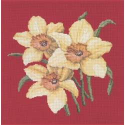 Elizabeth Bradley, Blooms, DAFFODILS - 16x16 pollici Elizabeth Bradley - 4