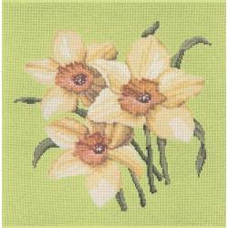 Elizabeth Bradley, Blooms, DAFFODILS - 16x16 pollici Elizabeth Bradley - 8