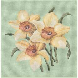 Elizabeth Bradley, Blooms, DAFFODILS - 16x16 pollici Elizabeth Bradley - 9