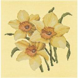 Elizabeth Bradley, Blooms, DAFFODILS - 16x16 pollici Elizabeth Bradley - 10