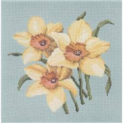 Elizabeth Bradley, Blooms, DAFFODILS - 16x16 pollici Elizabeth Bradley - 14