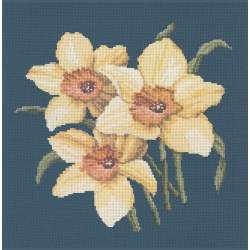 Elizabeth Bradley, Blooms, DAFFODILS - 16x16 pollici Elizabeth Bradley - 16