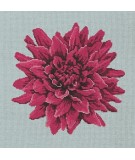 Elizabeth Bradley, Blooms, DAHLIA - 16x16 pollici Elizabeth Bradley - 14