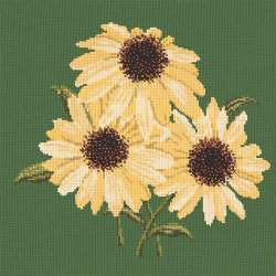 Elizabeth Bradley, Blooms, ECHINACEAS - 16x16 pollici Elizabeth Bradley - 6