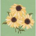 Elizabeth Bradley, Blooms, ECHINACEAS - 16x16 pollici Elizabeth Bradley - 7