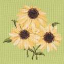 Elizabeth Bradley, Blooms, ECHINACEAS - 16x16 pollici Elizabeth Bradley - 8