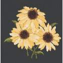 Elizabeth Bradley, Blooms, ECHINACEAS - 16x16 pollici Elizabeth Bradley - 18