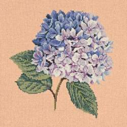 Elizabeth Bradley, Blooms, HYDRANGEA - 16x16 pollici Elizabeth Bradley - 3