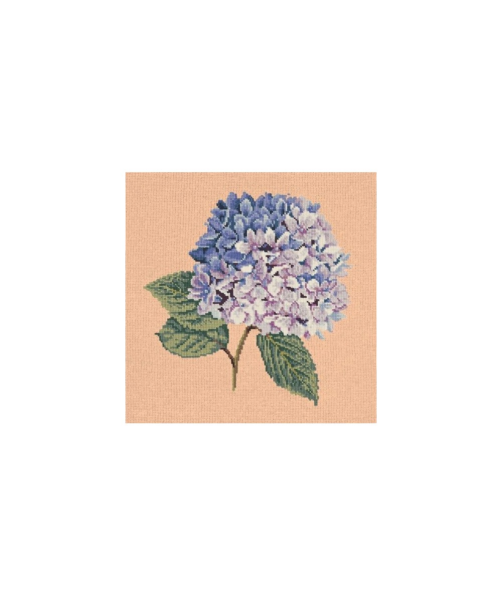 Elizabeth Bradley, Blooms, HYDRANGEA - 16x16 pollici Elizabeth Bradley - 3