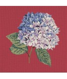 Elizabeth Bradley, Blooms, HYDRANGEA - 16x16 pollici Elizabeth Bradley - 4